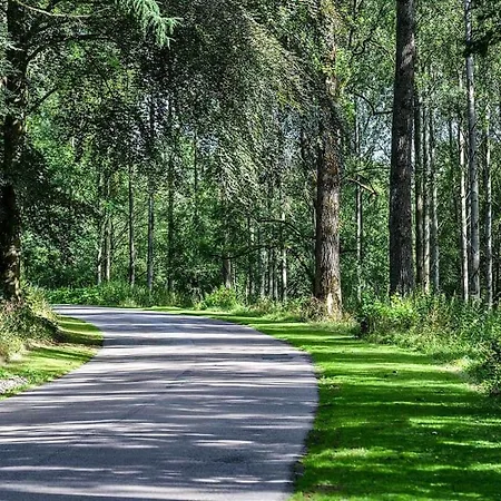 Lowther Park 홀리데이파크 *